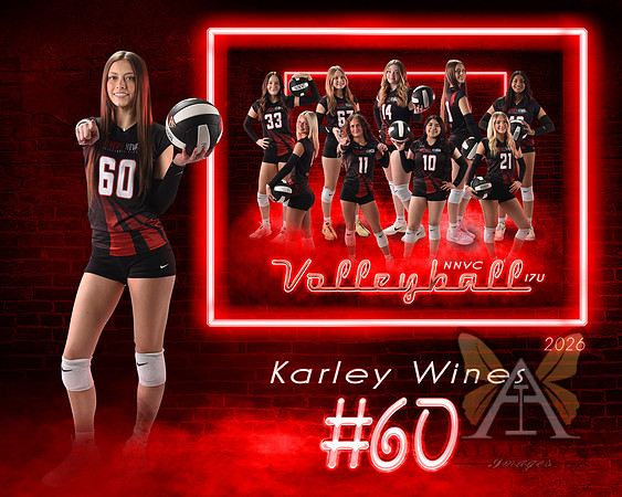 Neon Studio Sports Edition SportsMate Template