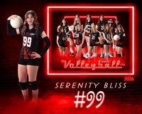 Neon Studio Sports Edition SportsMate Template