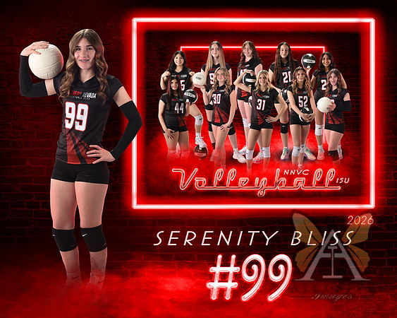 Neon Studio Sports Edition SportsMate Template