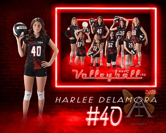 Neon Studio Sports Edition SportsMate Template