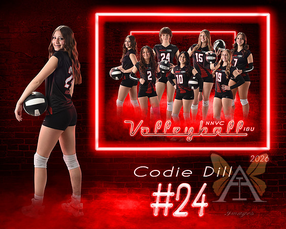 Neon Studio Sports Edition SportsMate Template