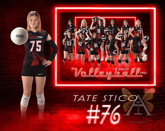 Neon Studio Sports Edition SportsMate Template
