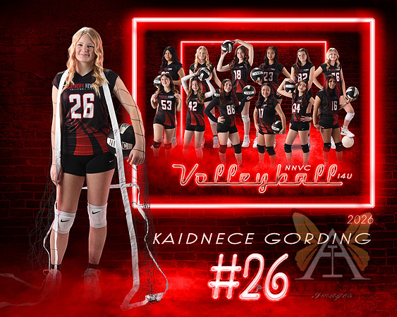 Neon Studio Sports Edition SportsMate Template