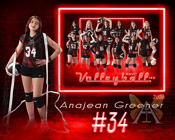 Neon Studio Sports Edition SportsMate Template