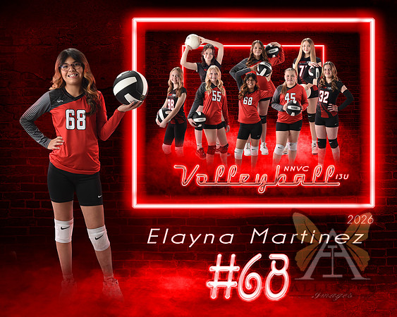 Neon Studio Sports Edition SportsMate Template