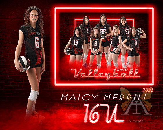 Neon Studio Sports Edition SportsMate Template