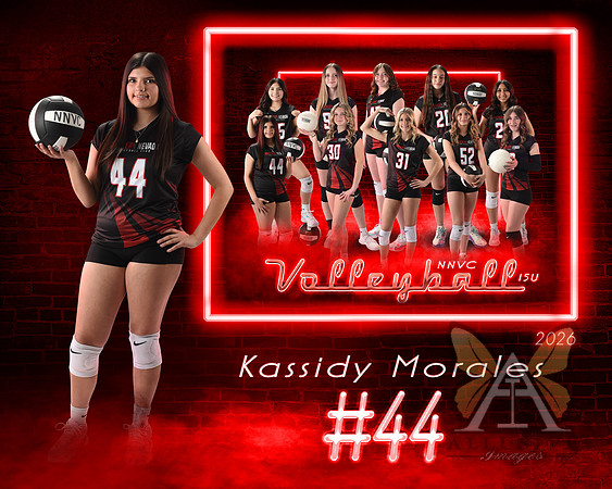 Neon Studio Sports Edition SportsMate Template
