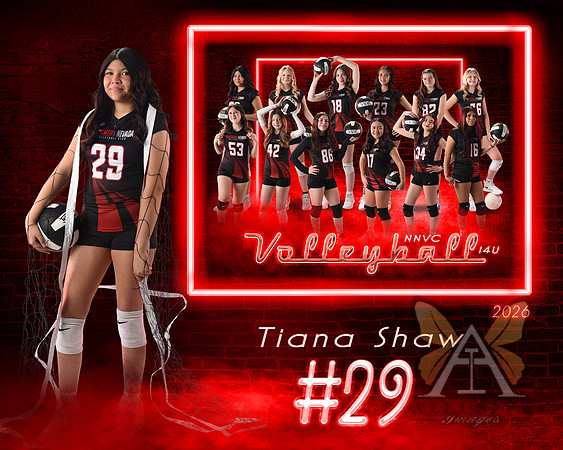 Neon Studio Sports Edition SportsMate Template