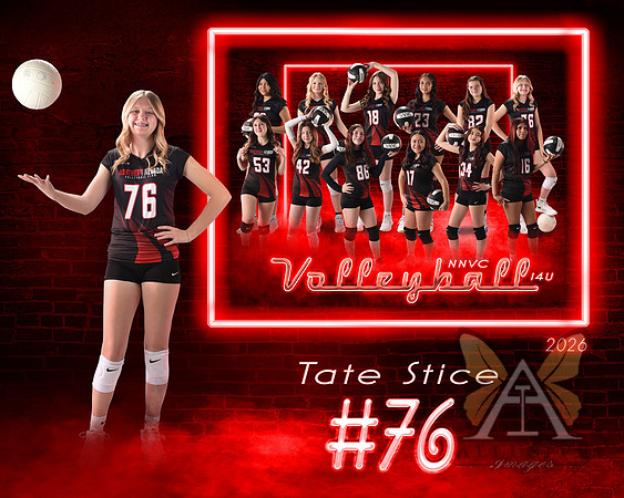 Neon Studio Sports Edition SportsMate Template