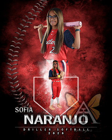 MVP Baseball Softball Main Template