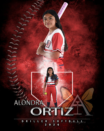 MVP Baseball Softball Main Template