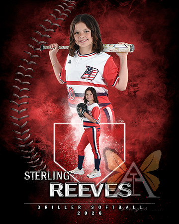 MVP Baseball Softball Main Template
