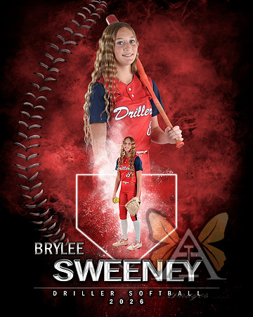 MVP Baseball Softball Main Template
