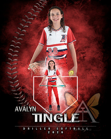 MVP Baseball Softball Main Template