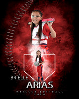 MVP Baseball Softball Main Template