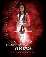 MVP Baseball Softball Main Template