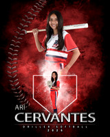 MVP Baseball Softball Main Template