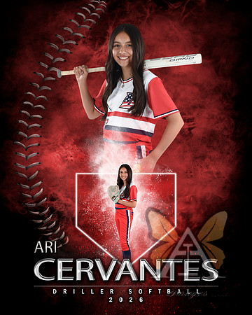MVP Baseball Softball Main Template