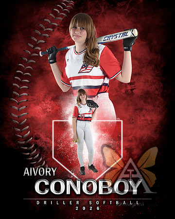 MVP Baseball Softball Main Template