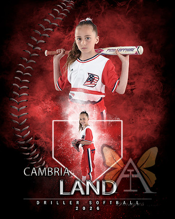 MVP Baseball Softball Main Template